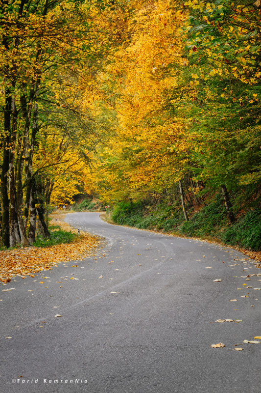 نام: Fall road.jpg نمایش: 831 اندازه: 249.6 کیلو بایت